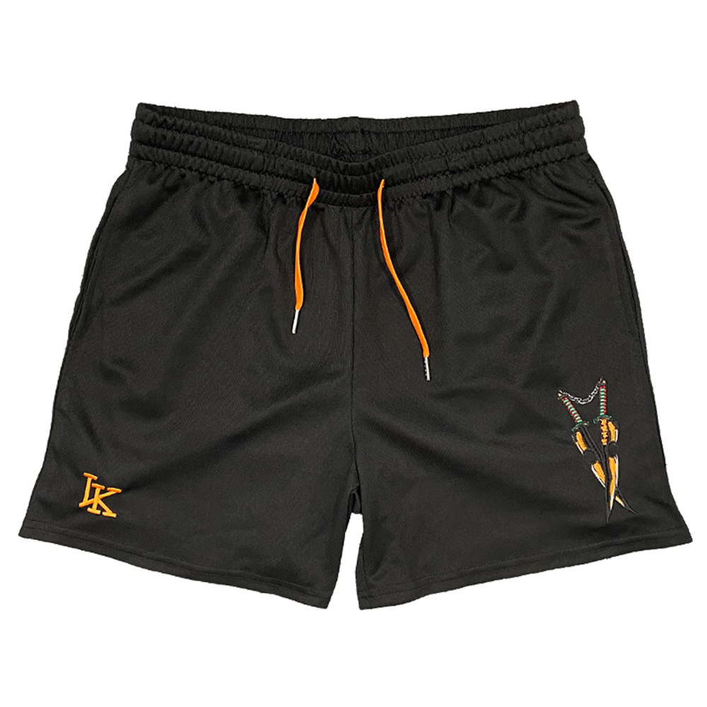 Flashy Swords Embroidered Shorts