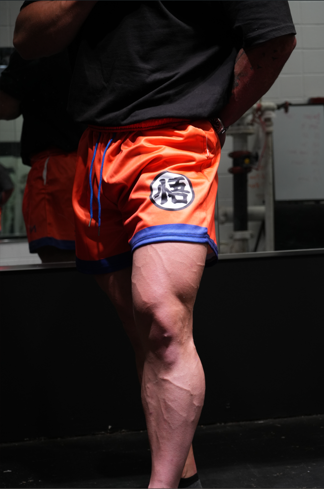 Goku Shorts - Original